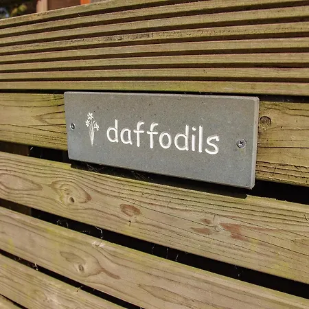 בית נופש Daffodils