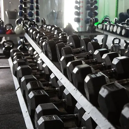 Daffodils Bowness-on-Windermere