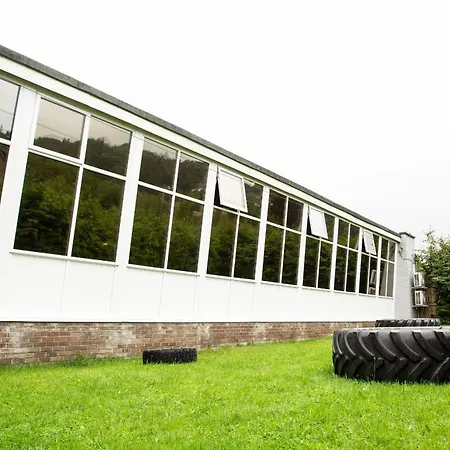 Daffodils 鲍内斯温德米尔