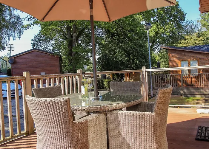 Daffodils * Bowness-on-Windermere